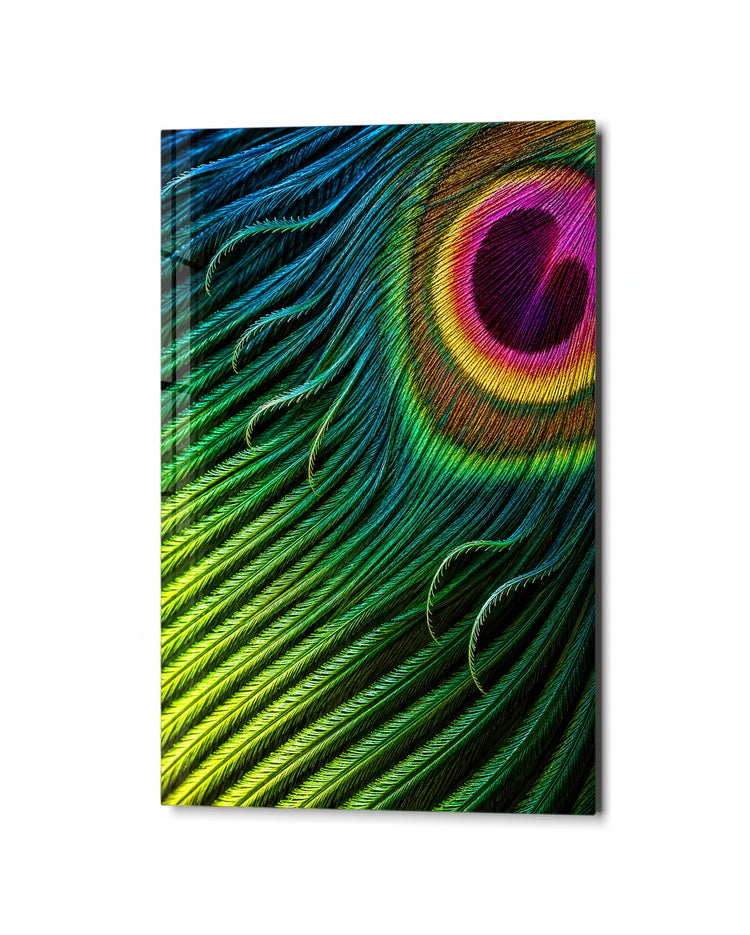 Eye of the Plume glass wall art, studio view