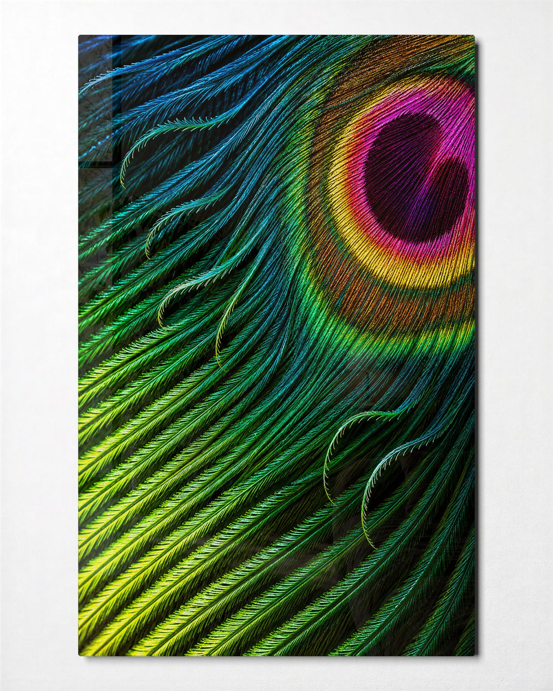 Eye of the Plume glass wall art, front view