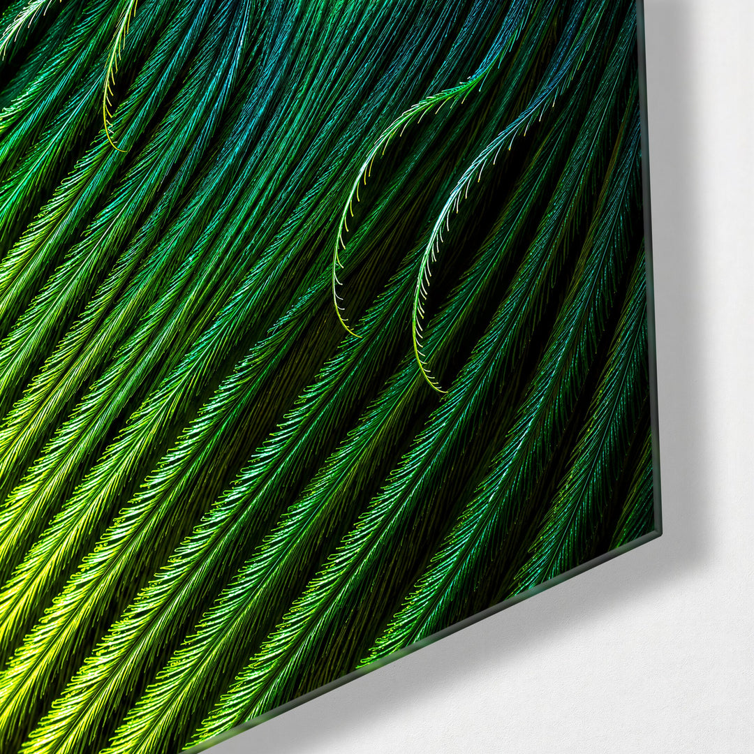 Eye of the Plume glass wall art, corner view