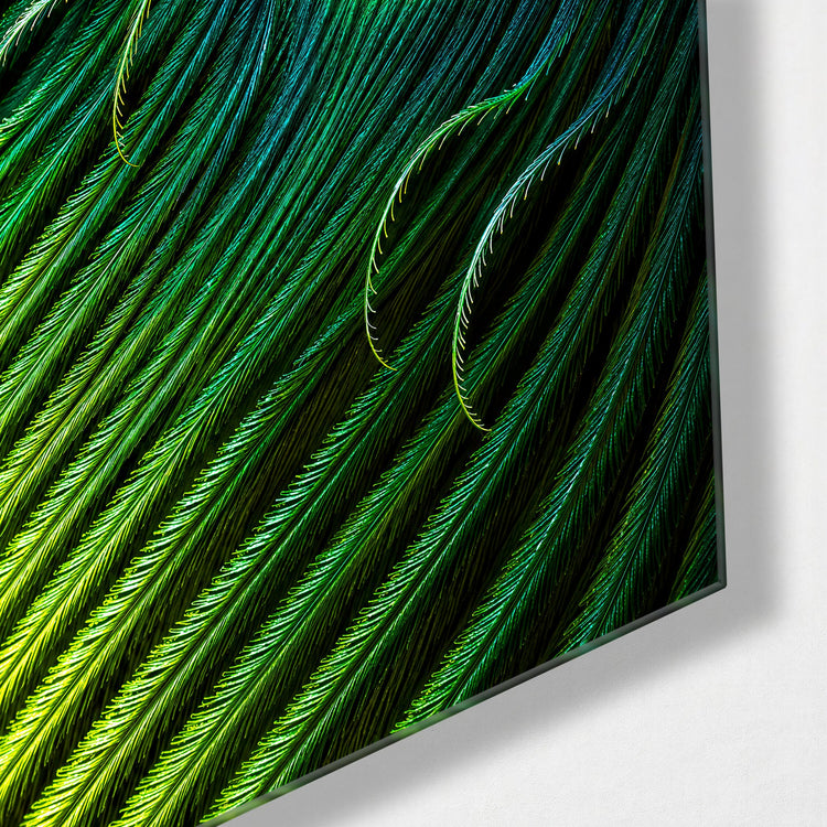 Eye of the Plume glass wall art, corner view