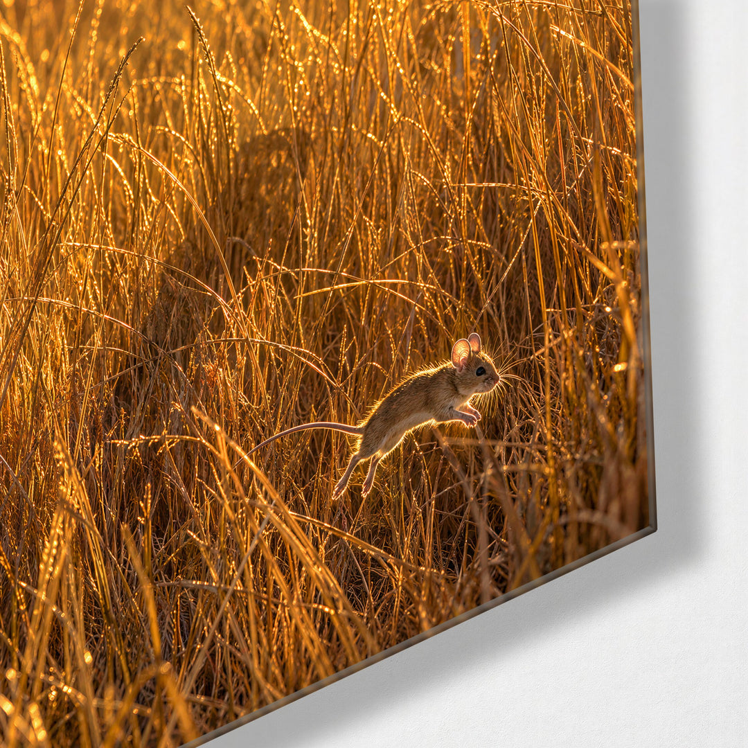 The Leap Before the Landing glass wall art, corner view
