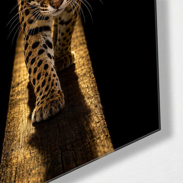 Eyes Ahead, Spotted Cat glass wall art, corner view