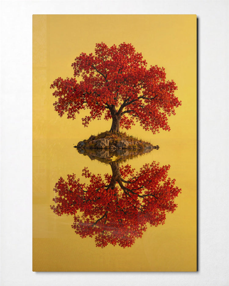One Canopy, Doubled glass wall art, front view