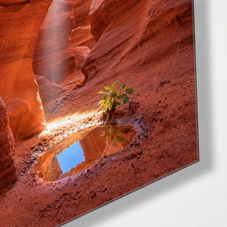 Narrow Walls, One Bright Beam glass wall art, corner view