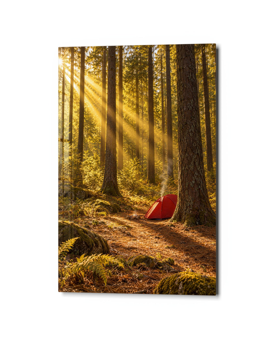 Camp Among Tall Trees glass wall art, studio view