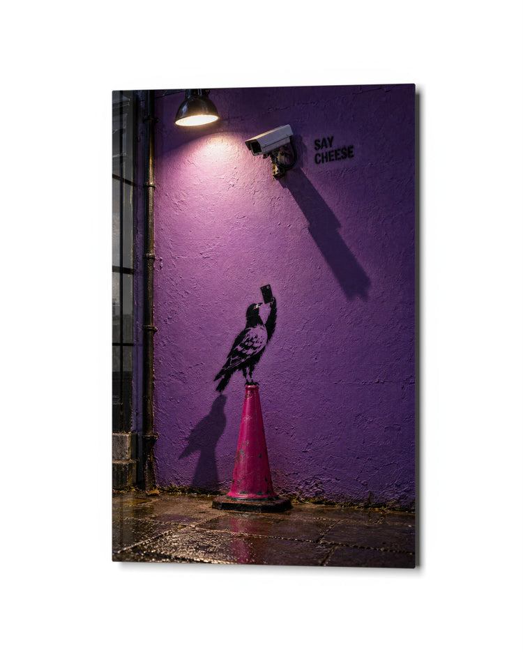 Smile for the Lens glass wall art, studio view