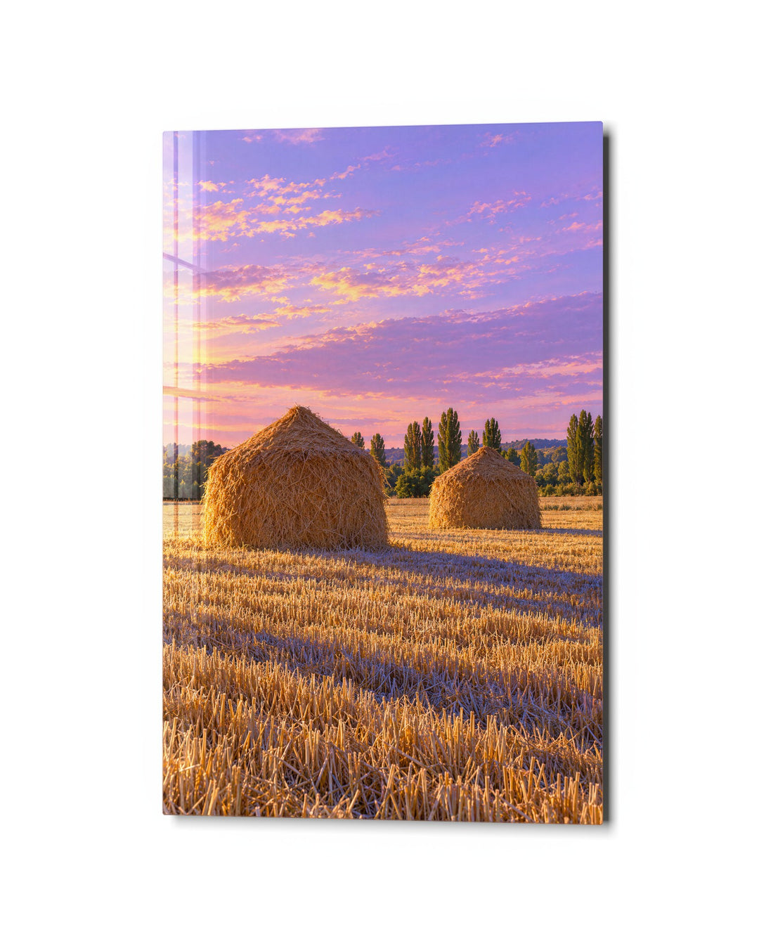 Two Bales, Late Light glass wall art, studio view