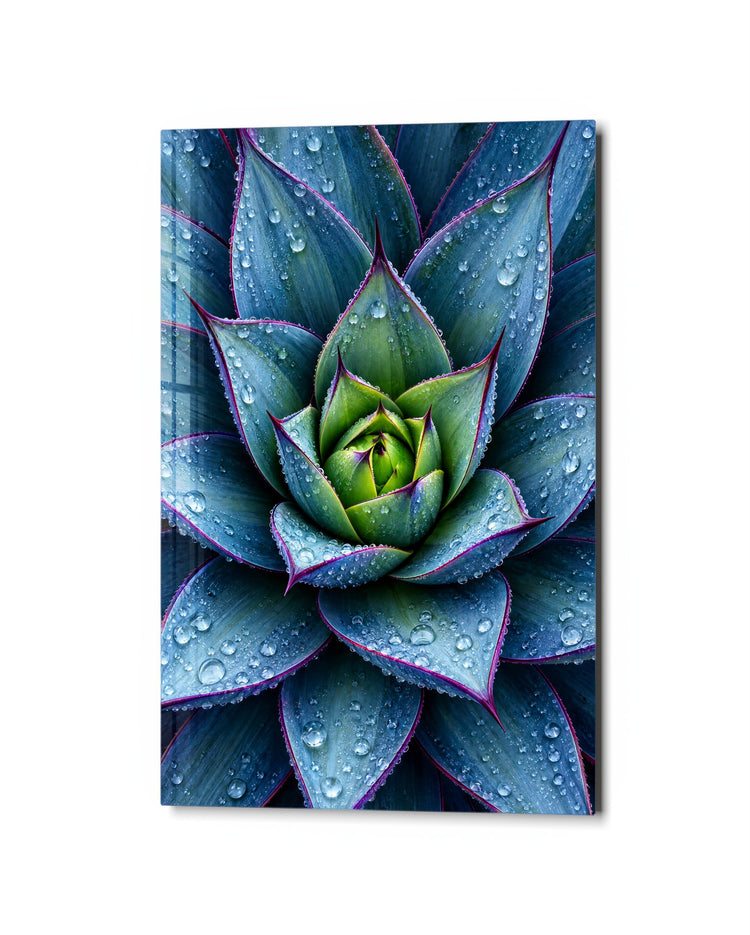 Spiky and Soaked glass wall art, studio view