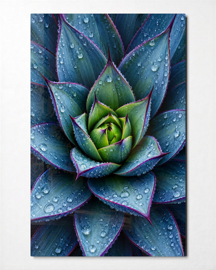 Spiky and Soaked glass wall art, front view