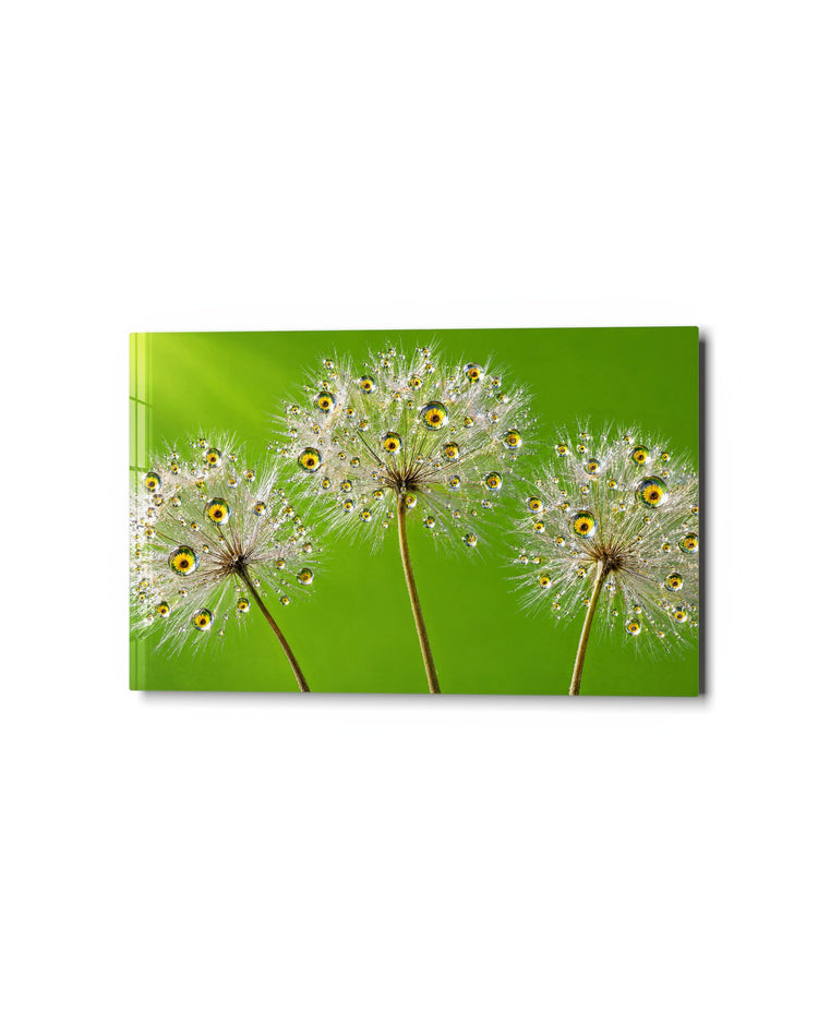 Three Wishes on Green glass wall art, studio view
