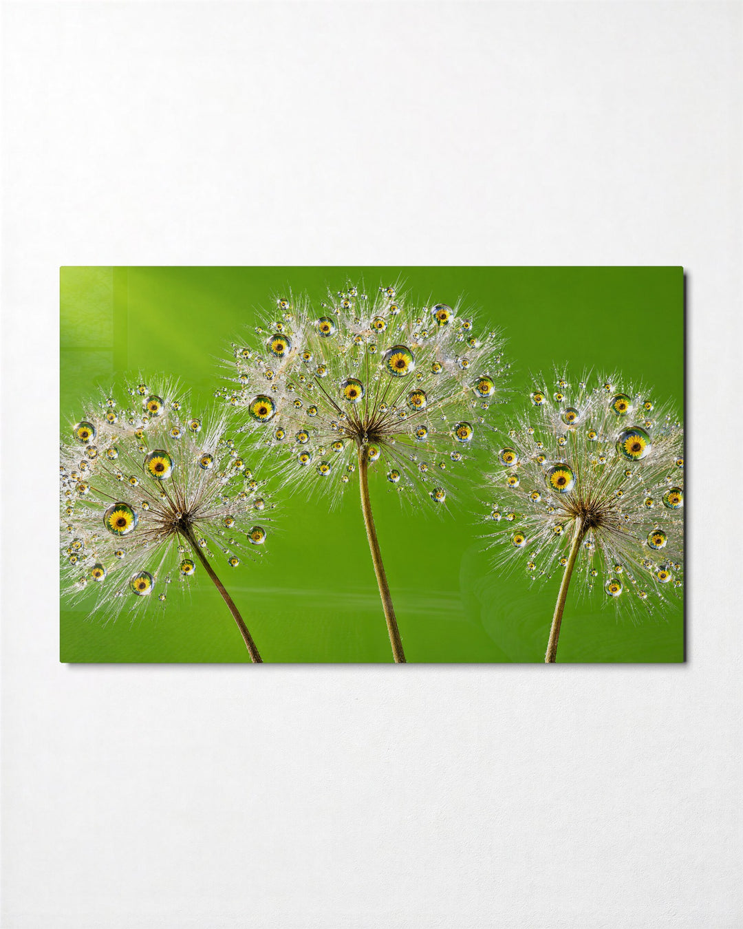 Three Wishes on Green glass wall art, front view
