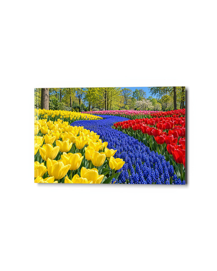 Blue Stream in Tulip Beds glass wall art, studio view