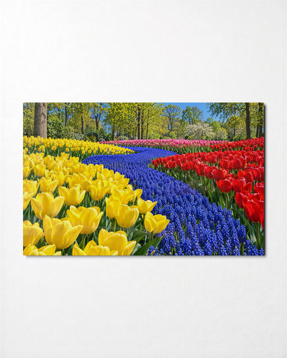 Blue Stream in Tulip Beds glass wall art, front view