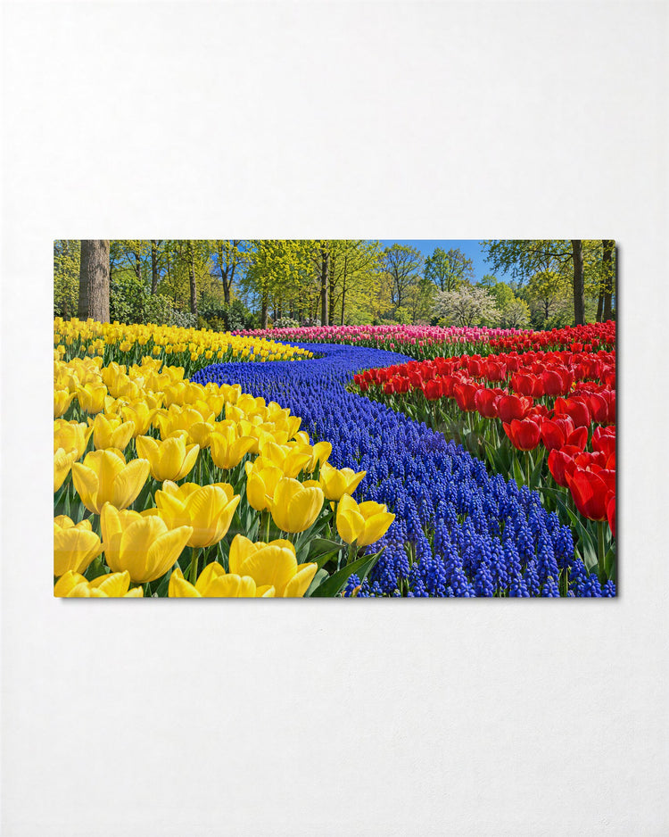 Blue Stream in Tulip Beds glass wall art, front view