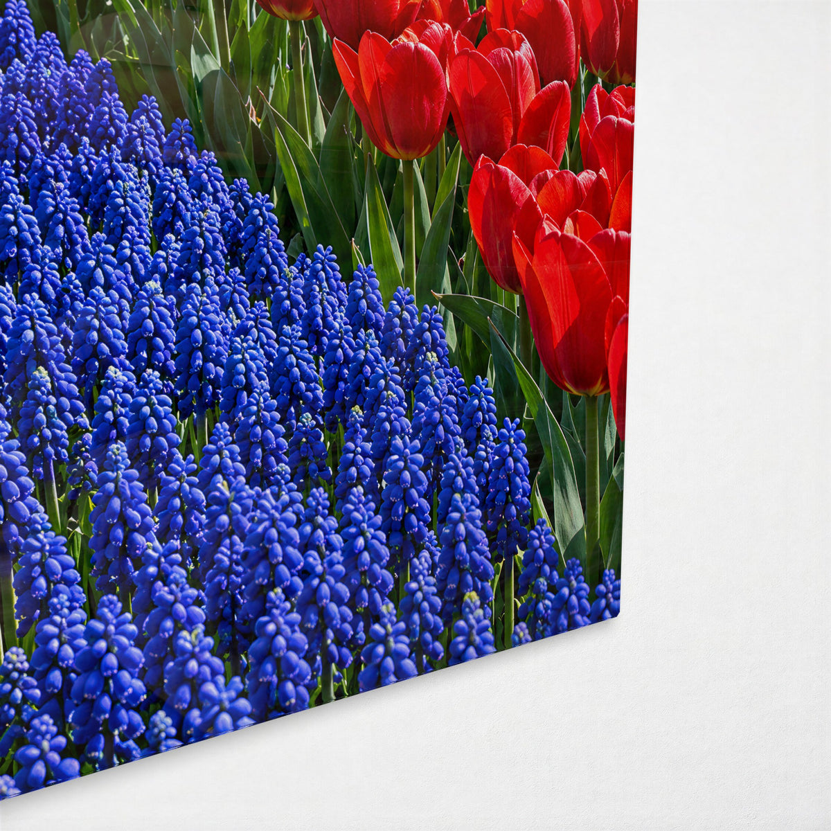 Blue Stream in Tulip Beds glass wall art, corner view