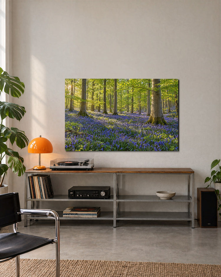 Spring Under Beech Canopy glass wall art, lifestyle view