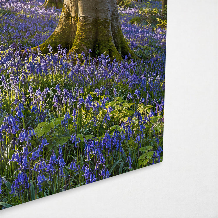 Spring Under Beech Canopy glass wall art, corner view