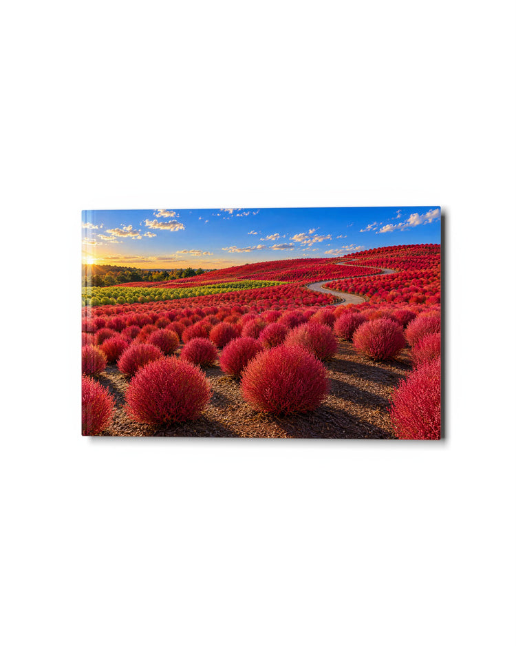 Rolling Red Bushes glass wall art, studio view