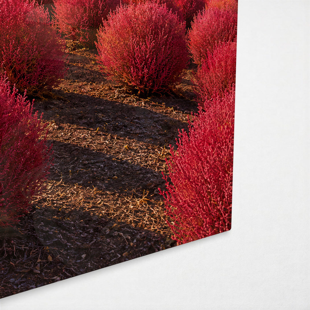 Rolling Red Bushes glass wall art, corner view