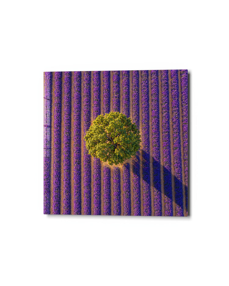 Round Crown, Purple Rows glass wall art, studio view
