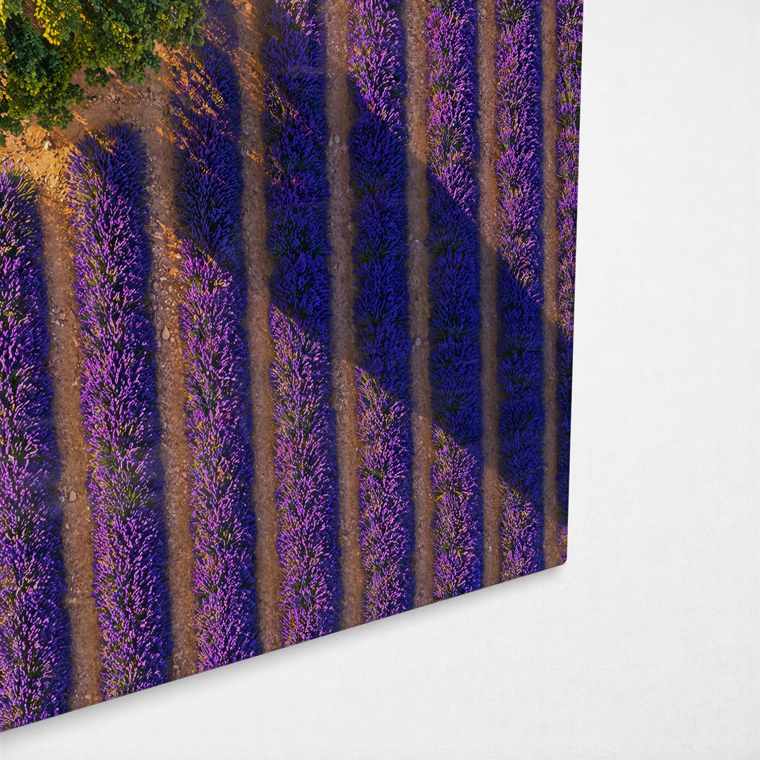 Round Crown, Purple Rows glass wall art, corner view
