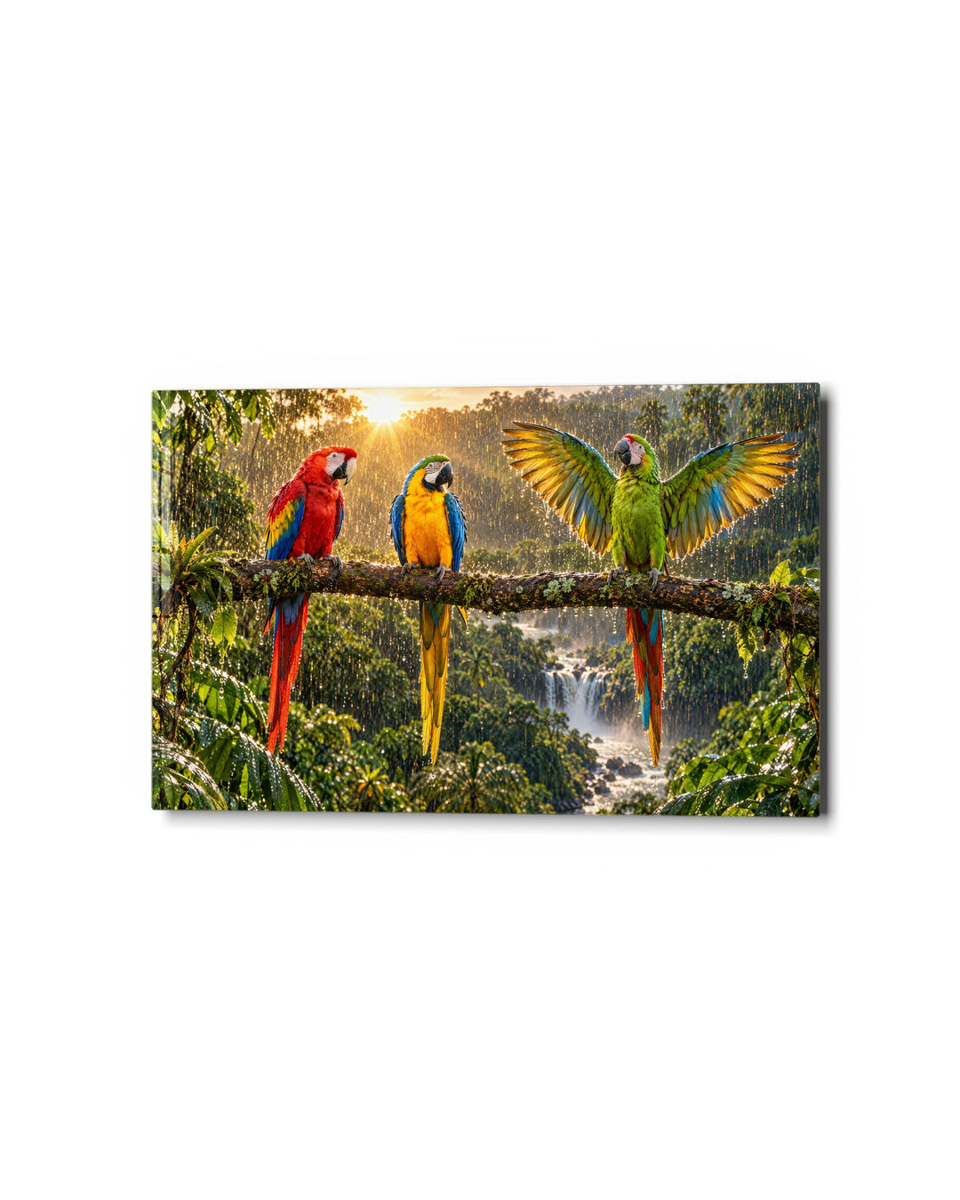 Rainforest Trio in a Downpour glass wall art, studio view