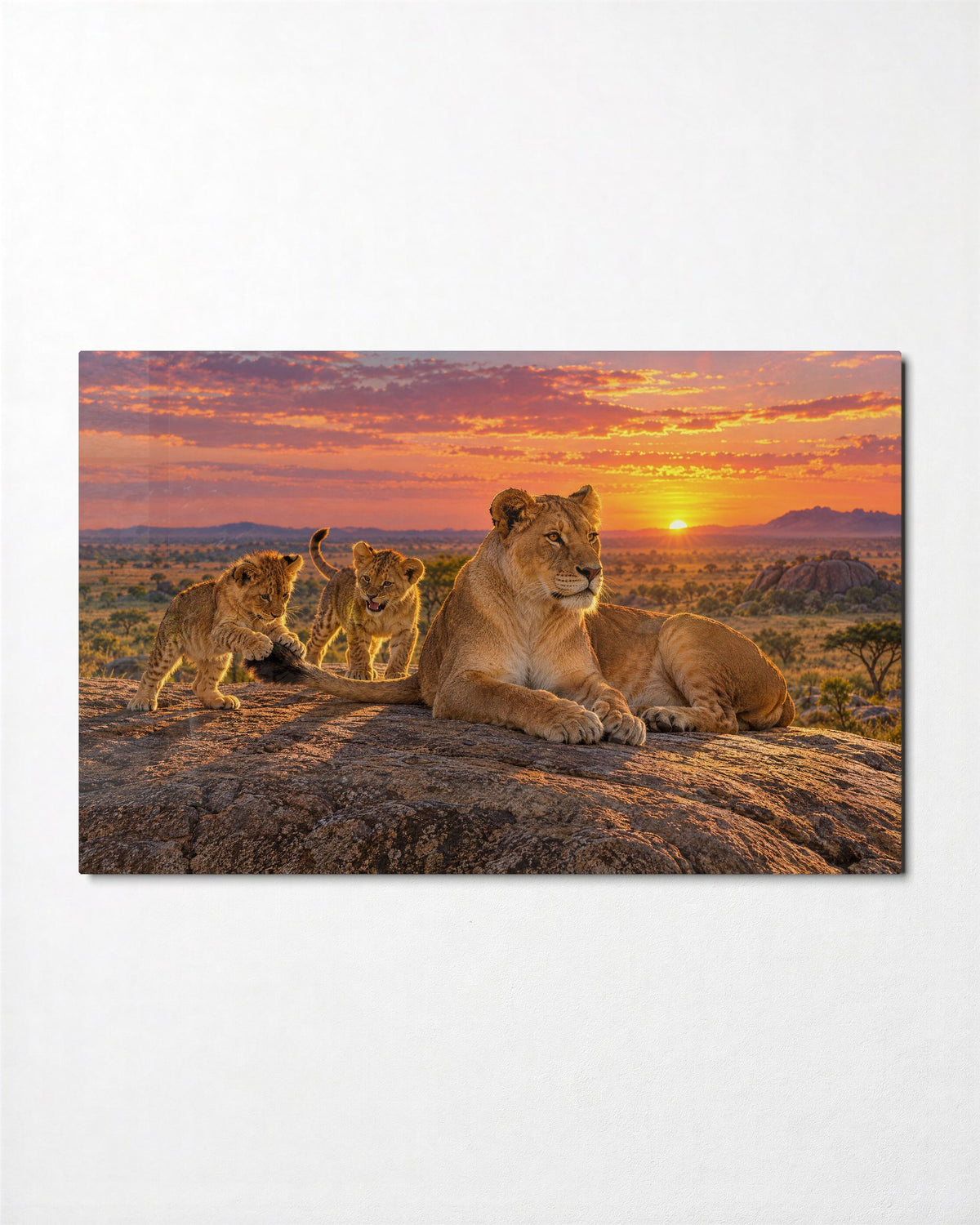 Family Time on the Rock glass wall art, front view