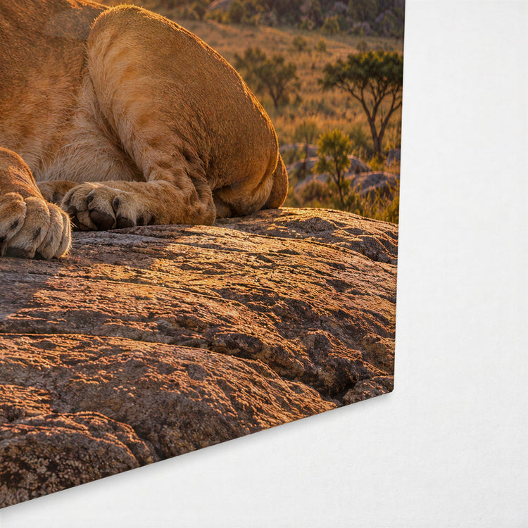 Family Time on the Rock glass wall art, corner view