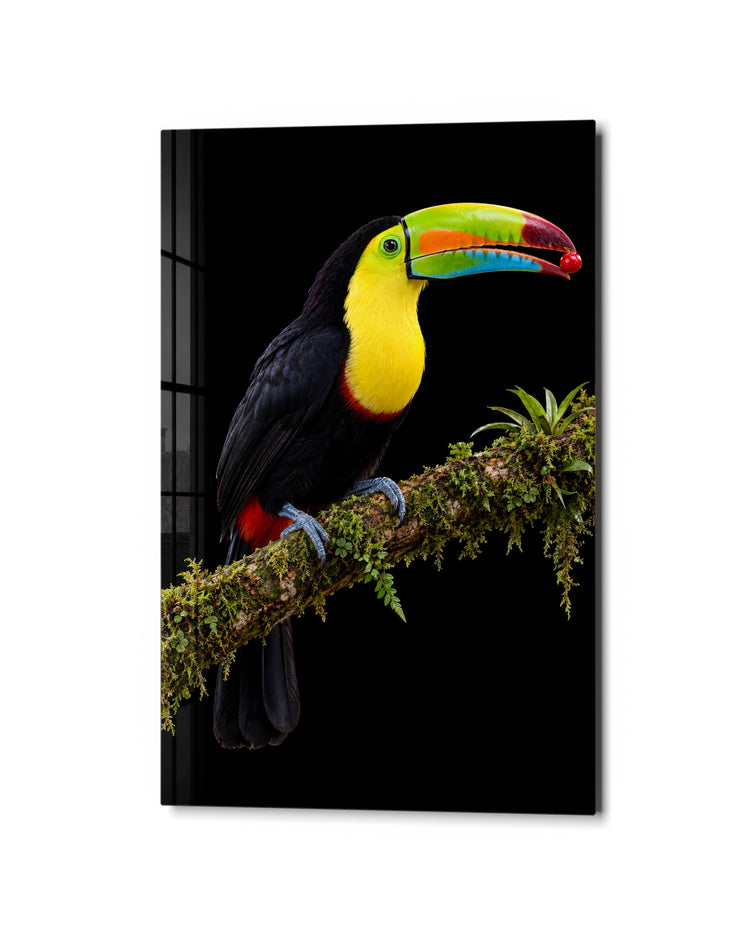 Rainbow Beak, Red Berry glass wall art, studio view