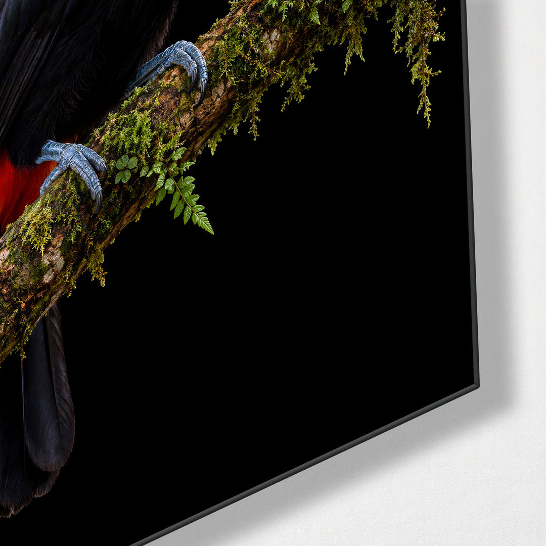 Rainbow Beak, Red Berry glass wall art, corner view