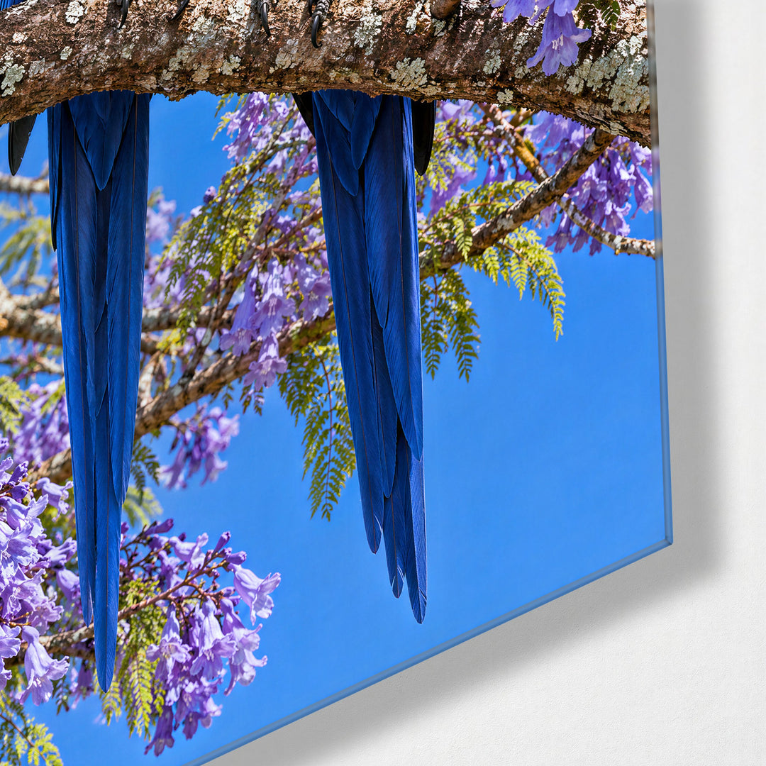 Two Blue Birds, One Branch glass wall art, corner view