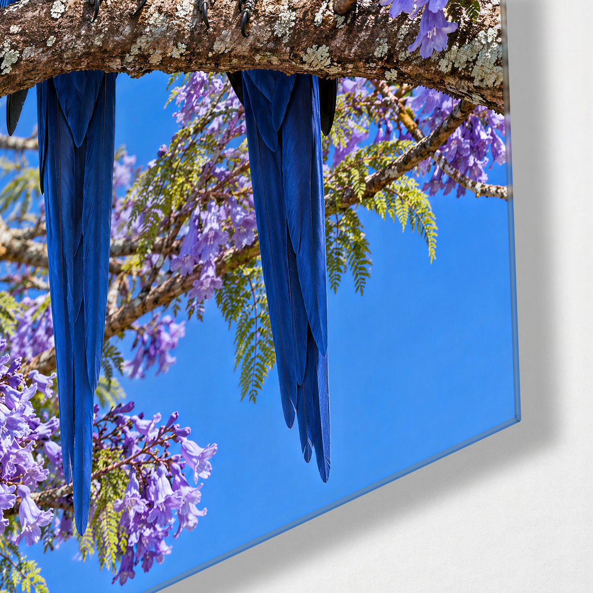 Two Blue Birds, One Branch glass wall art, corner view