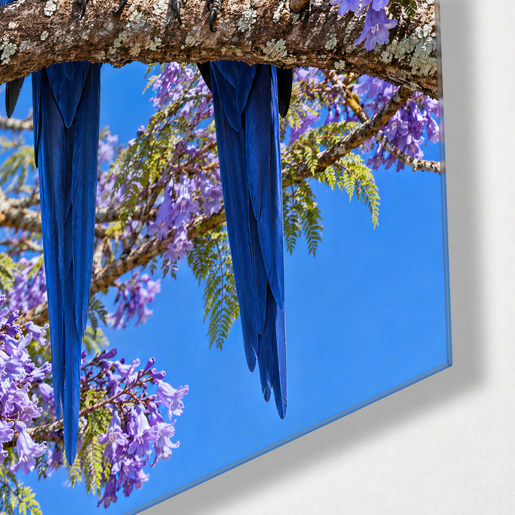 Two Blue Birds, One Branch glass wall art, corner view