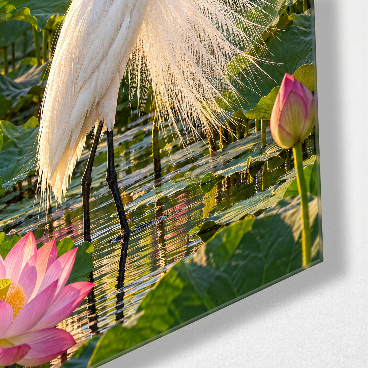 Stillness with Long Plumes glass wall art, corner view