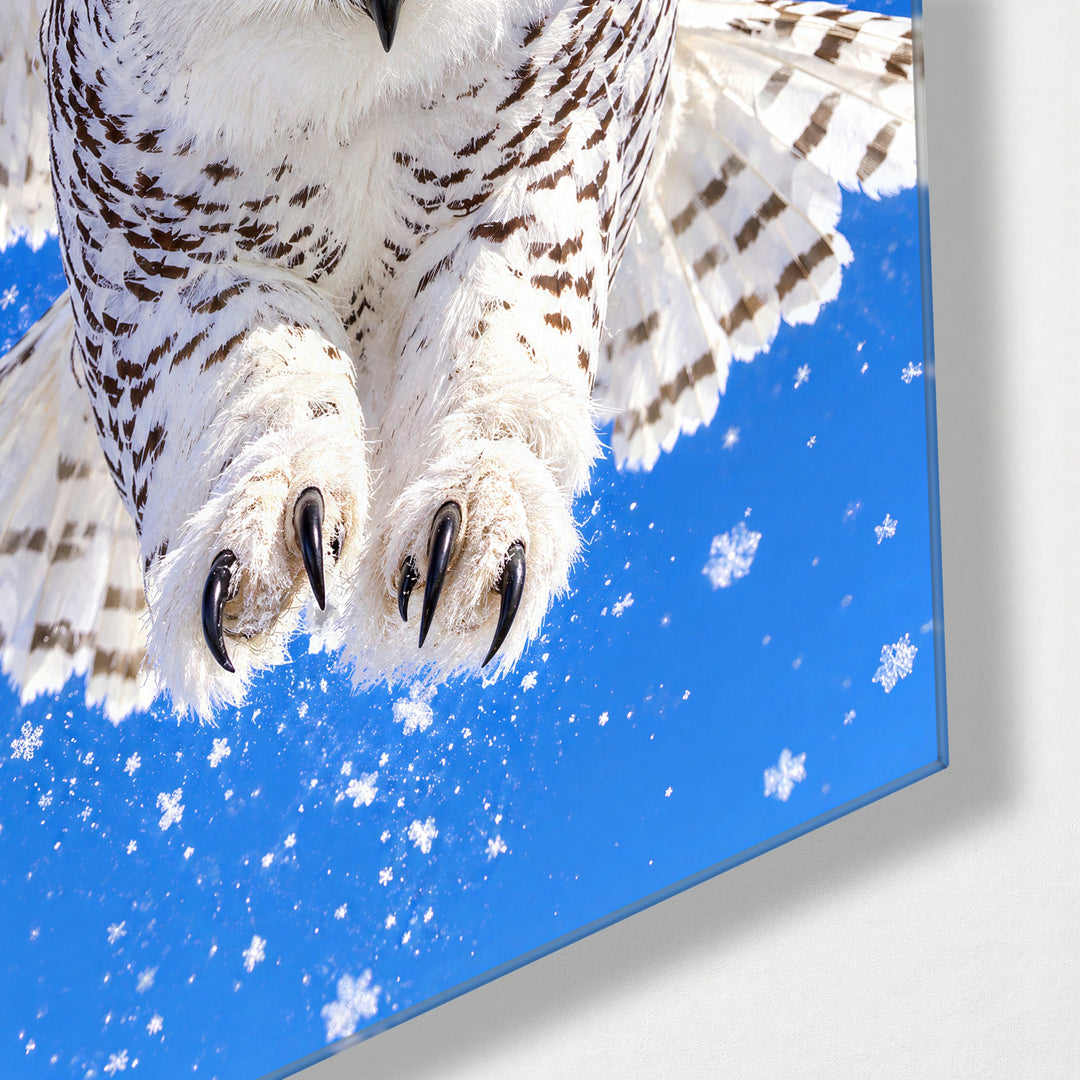 Silent Swoop glass wall art, corner view