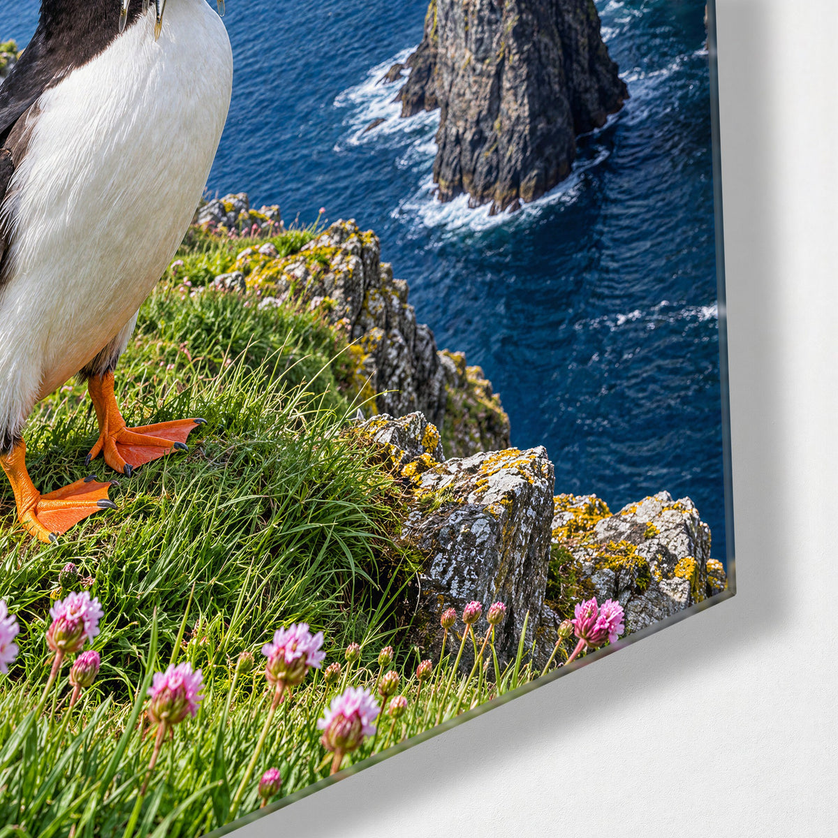 Beak Full of Fish glass wall art, corner view