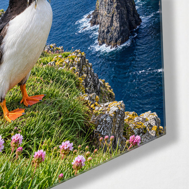Beak Full of Fish glass wall art, corner view