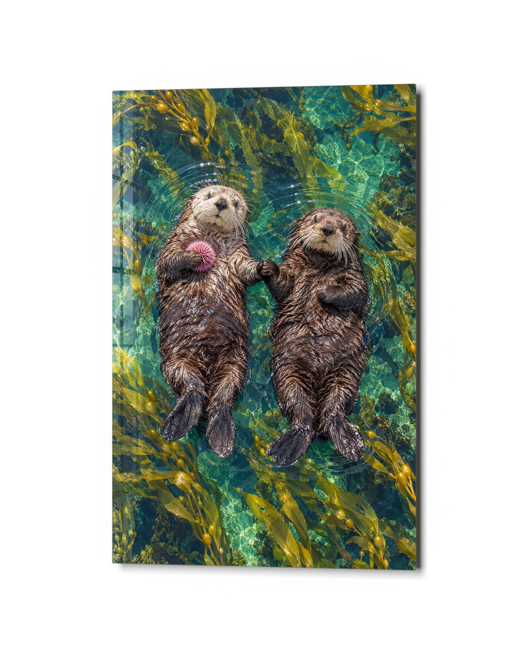 Paws Linked, Out at Sea glass wall art, studio view