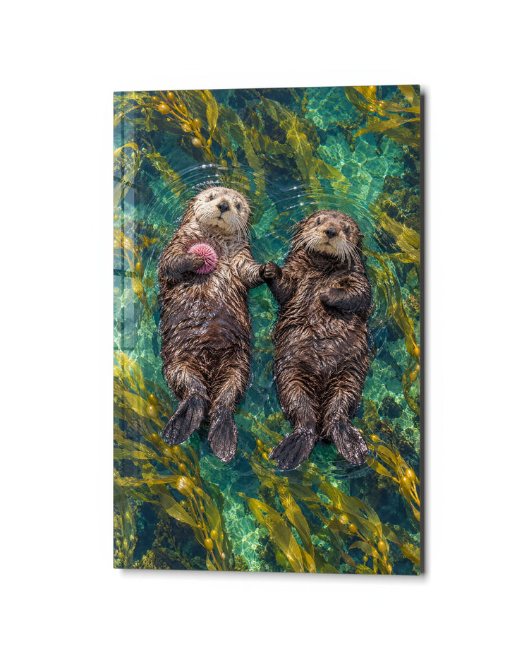 Paws Linked, Out at Sea glass wall art, studio view