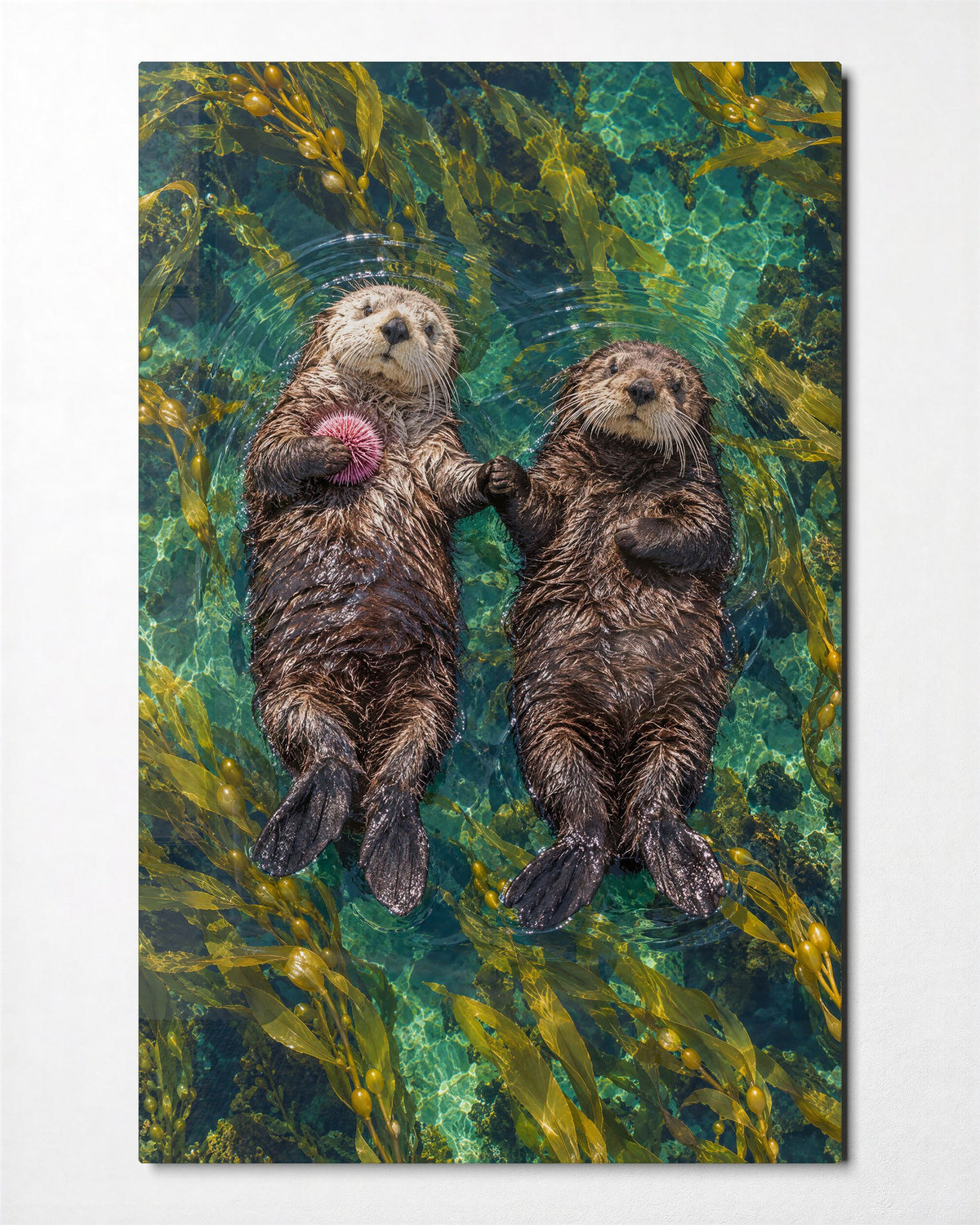 Paws Linked, Out at Sea glass wall art, front view