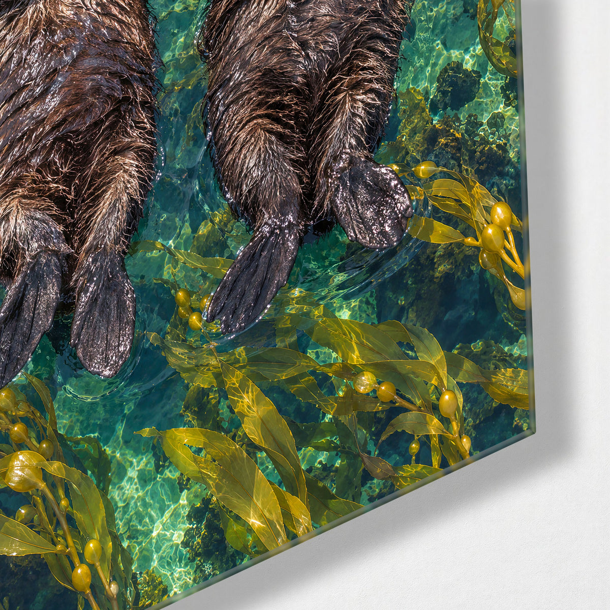 Paws Linked, Out at Sea glass wall art, corner view