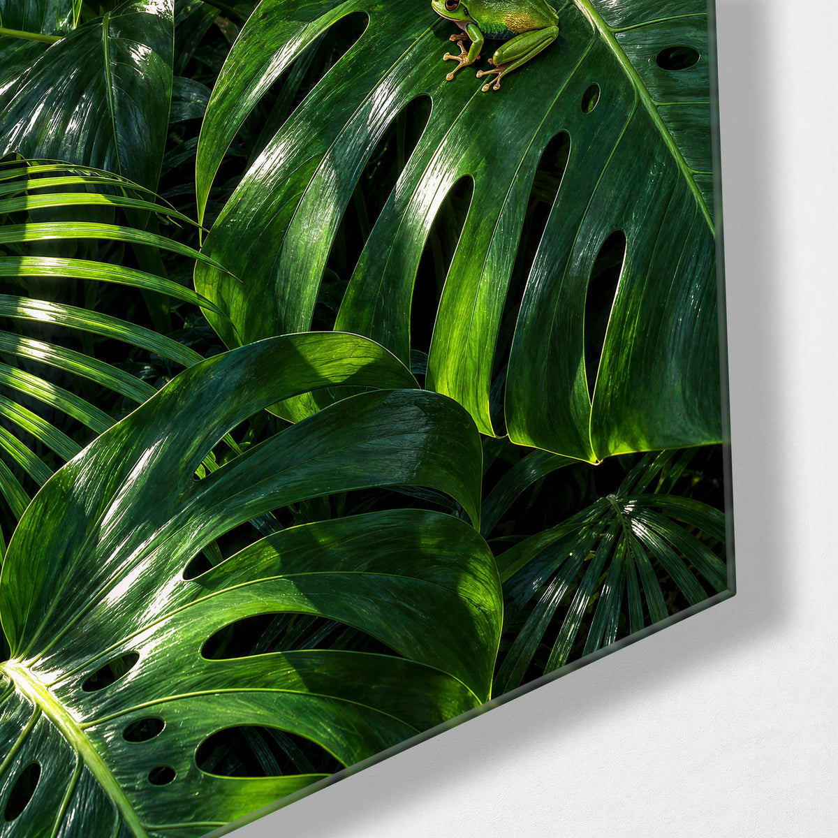 Tall Gloss, Tiny Frog glass wall art, corner view