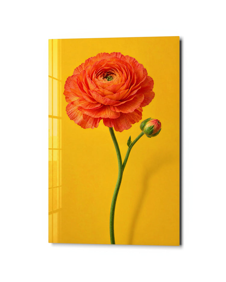 Ruffles on Yellow-Brown glass wall art, studio view