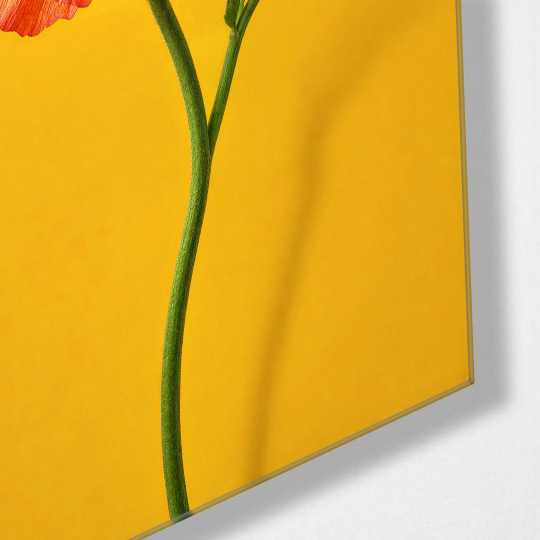 Ruffles on Yellow-Brown glass wall art, corner view