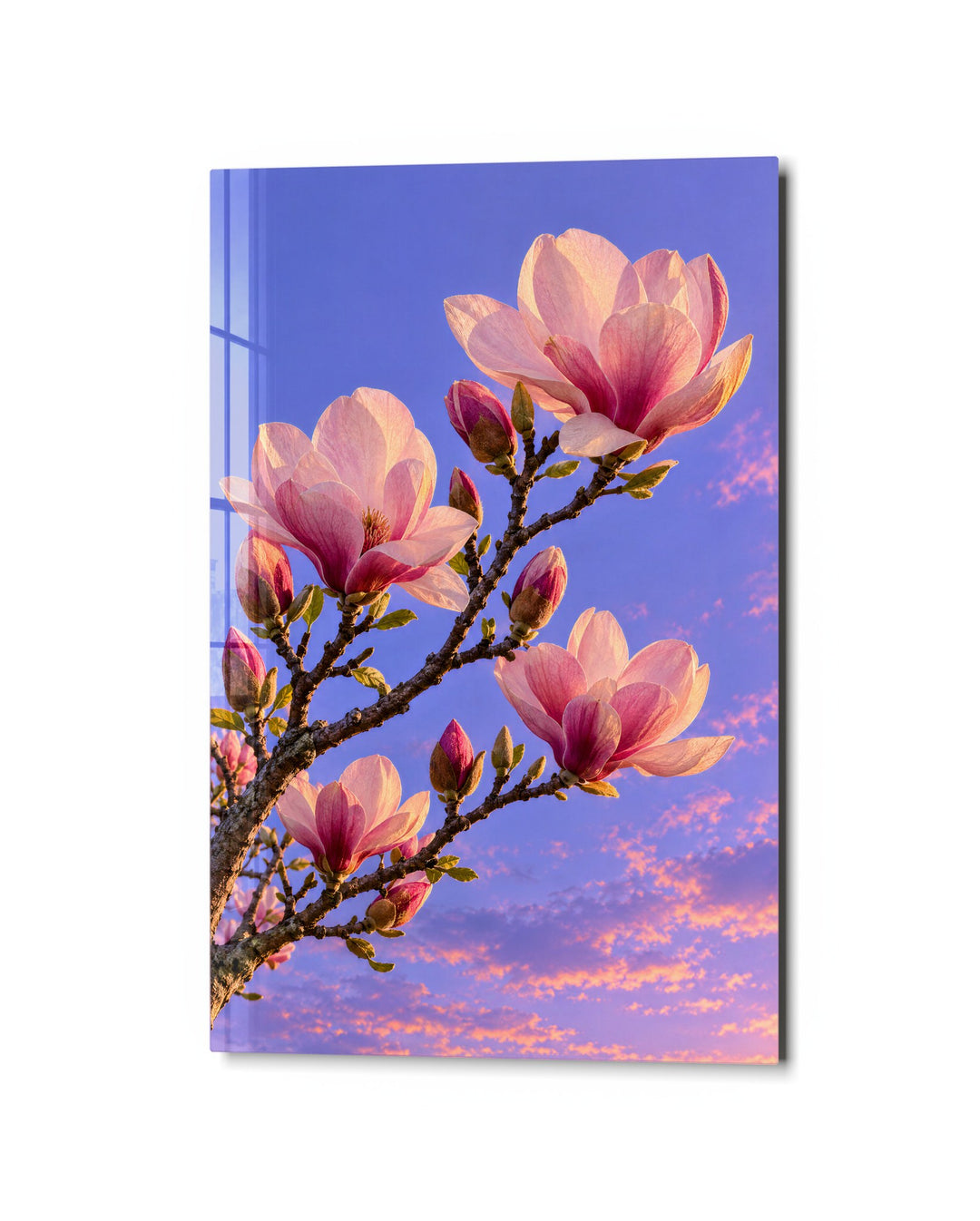 Blossom Branch at Dusk glass wall art, studio view