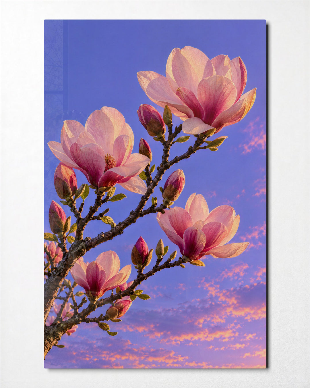Blossom Branch at Dusk glass wall art, front view