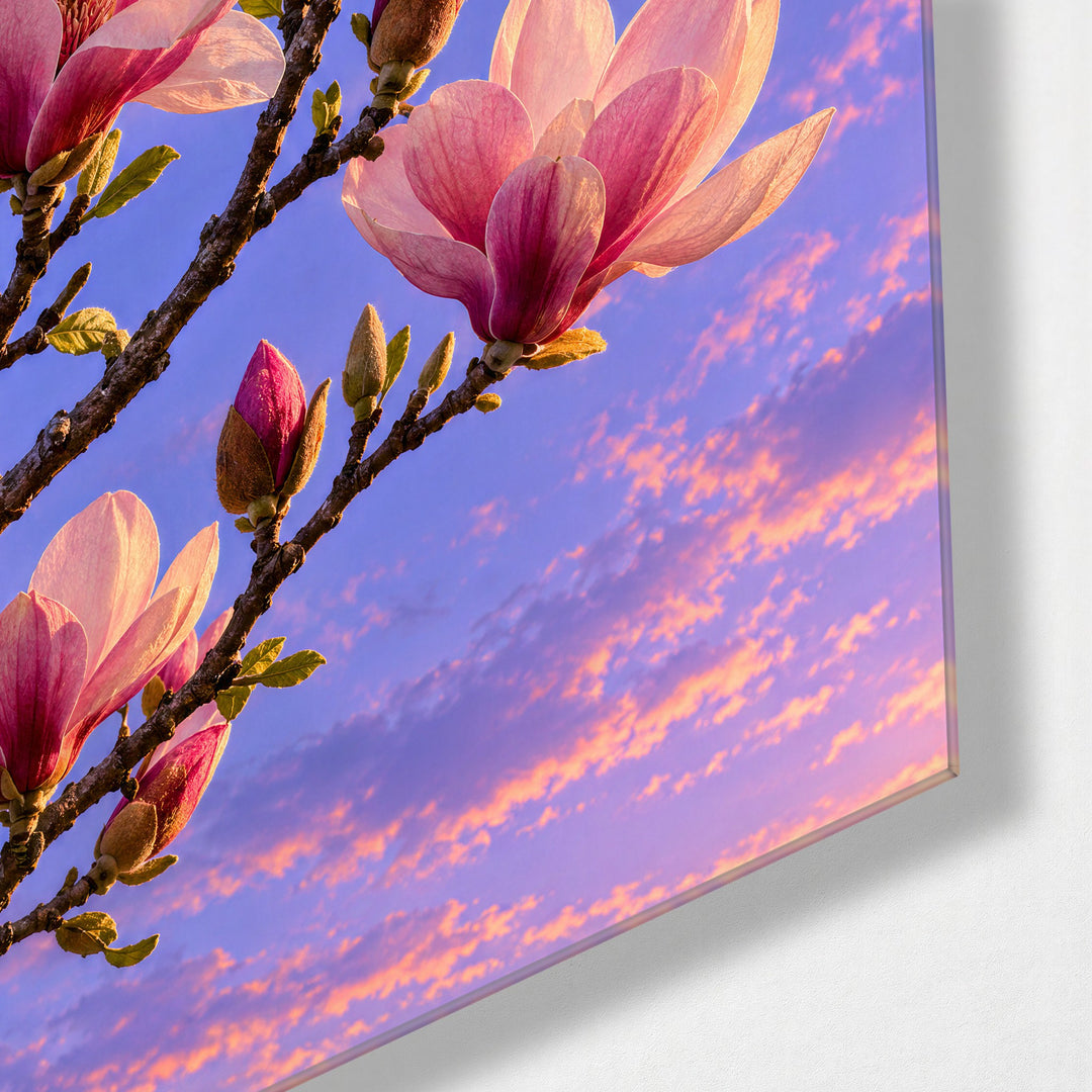 Blossom Branch at Dusk glass wall art, corner view