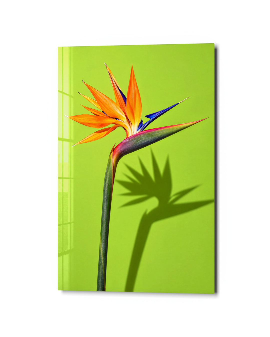 Sharp Shadow, Bright Green glass wall art, studio view