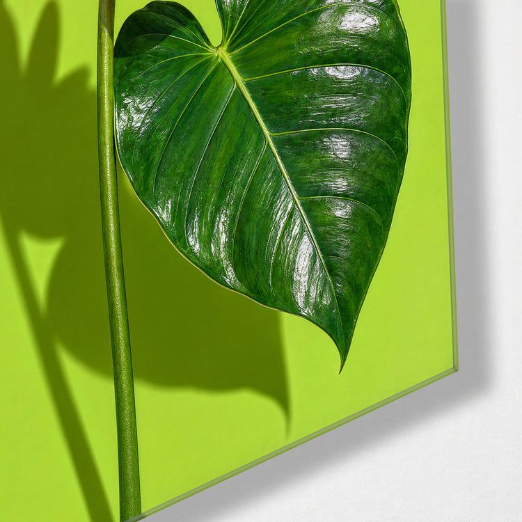 Pink Tropical on Chartreuse glass wall art, corner view