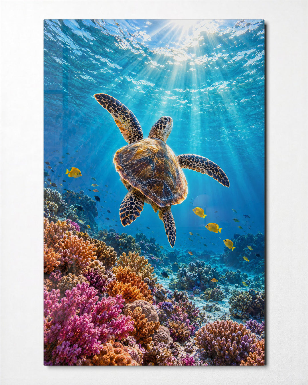 Reef, Then Upward glass wall art, front view